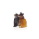 DAUM Kittens