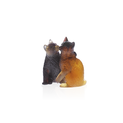 DAUM Kittens