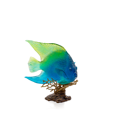 DAUM Blue Yellow Royal Angelfish Mer de Corail