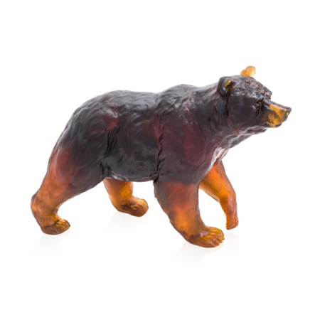 DAUM Brown Bear