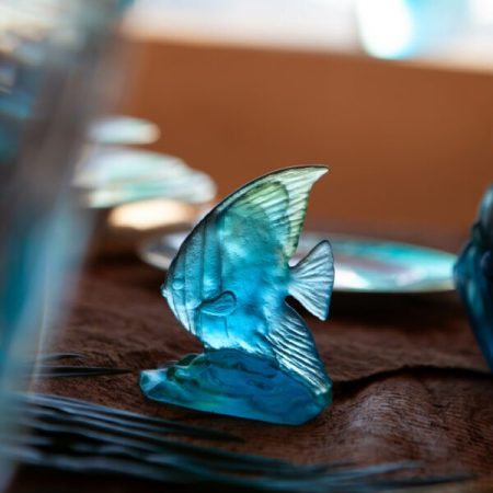 DAUM Small Platax Fish Maya