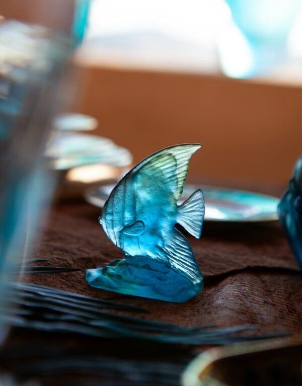 DAUM Small Platax Fish Maya