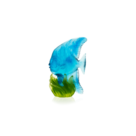 DAUM Medium Blue & Green Platax Fish Maya