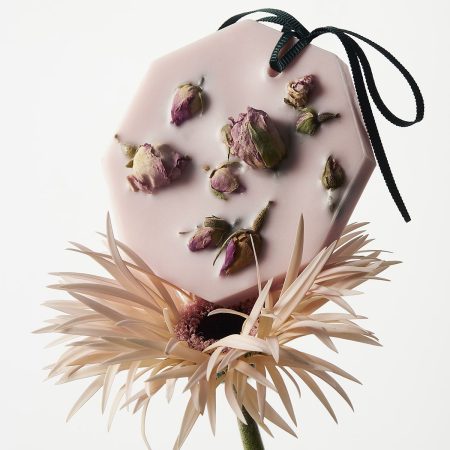CARRIERE FRERES La Rose aime la Menthe Botanical palets SET (x2)
