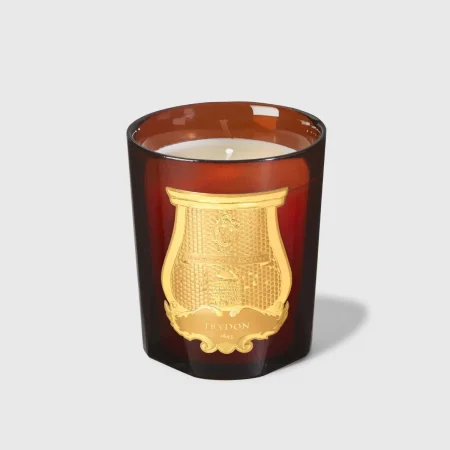 TRUDON Cire Beeswax Absolute 270 g