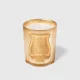 TRUDON Spella Amber's many facets 270 g